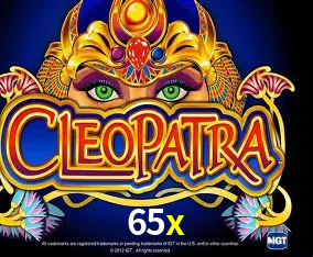 65x Curitiba - Live Status